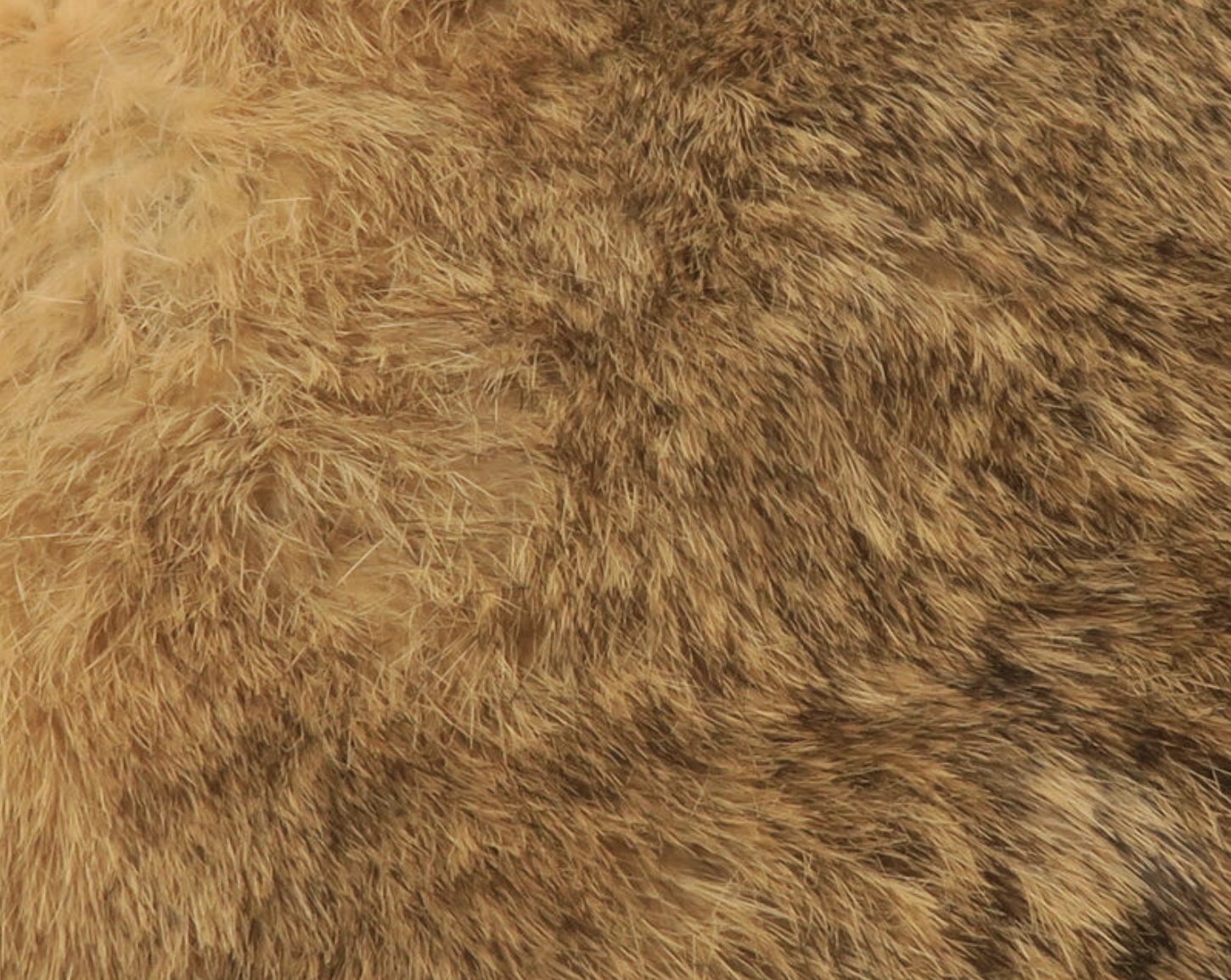 Hareline Dubbin Hareline Zonker Cut Rabbit Hide #28 Sand Variant