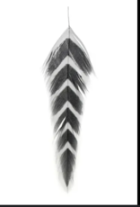 Montana Fly Co MFC Galloup's Fish Feathers