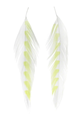 Montana Fly Co MFC Galloup's Fish Feathers