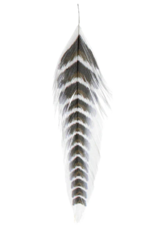 Montana Fly Co MFC Galloup's Fish Feathers