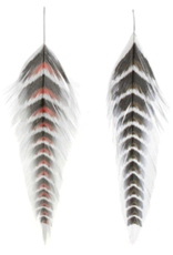 Montana Fly Co MFC Galloup's Fish Feathers