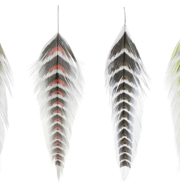 Montana Fly Co MFC Galloup's Fish Feathers