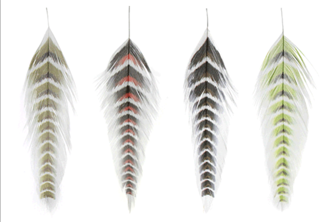Montana Fly Co MFC Galloup's Fish Feathers