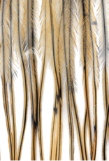 Montana Fly Co MFC Whiting 100 Pack