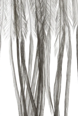 Montana Fly Co MFC Whiting 100 Pack