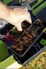 YakAttack YakAttack TracPak Tray 4x2 Half-Depth 2PK