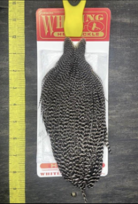 Whiting Farms Inc. Whiting Hen Cape