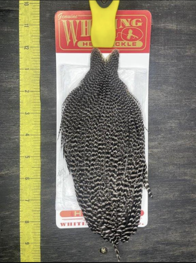 Whiting Farms Inc. Whiting Hen Cape