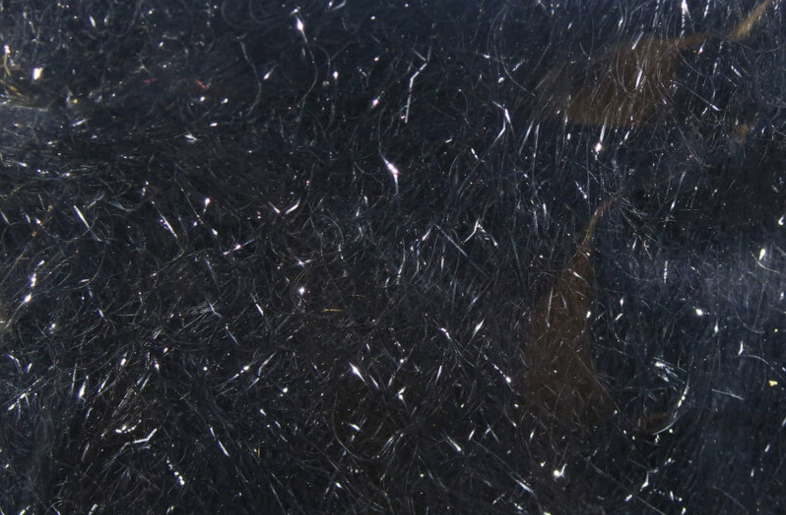 Hareline Dubbin Hareline Ripple Ice Dub