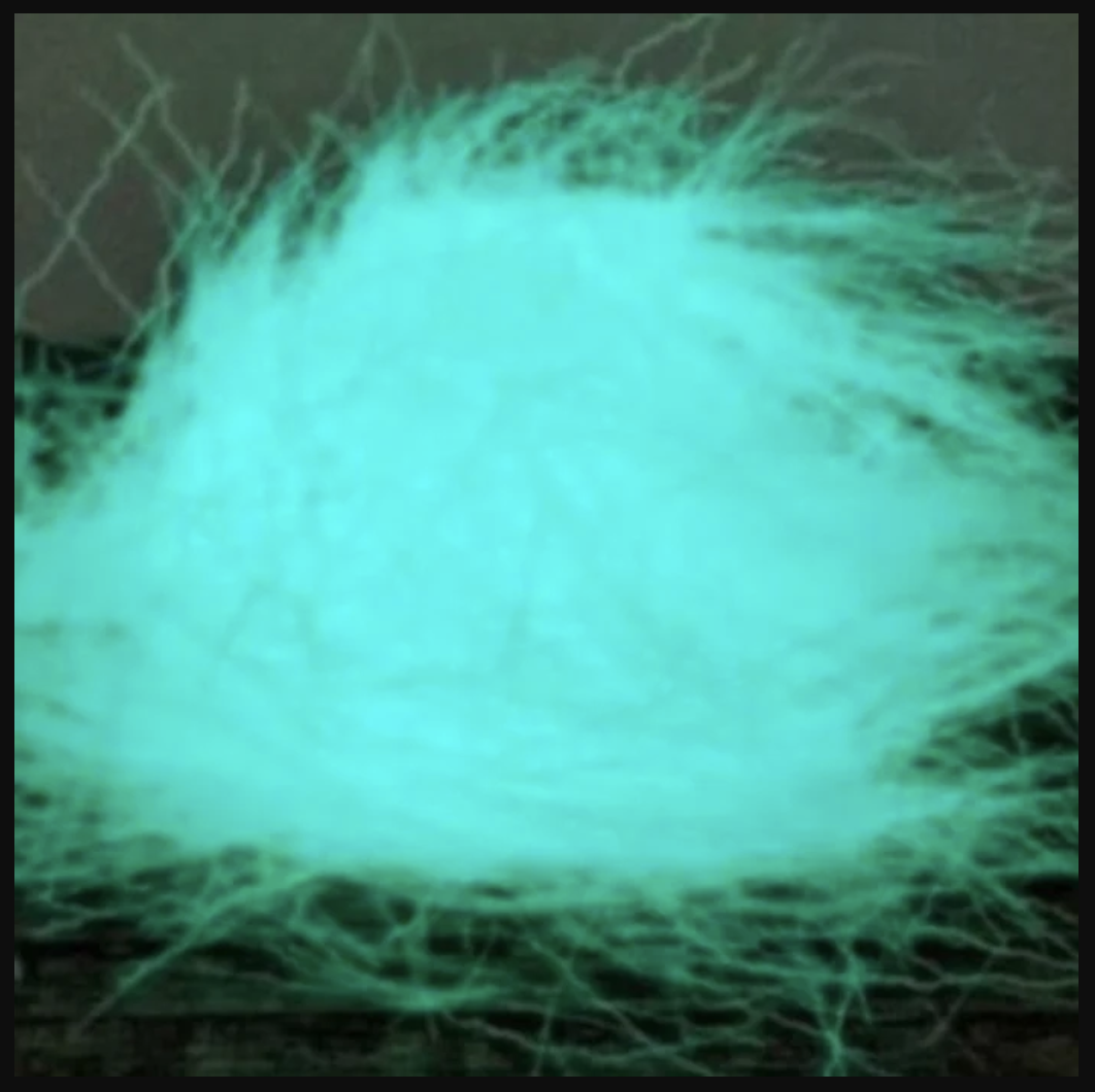 Hareline Dubbin Hareline Ripple Ice Dub