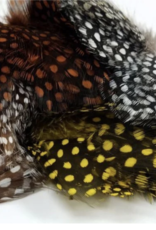 Nature's Spirit Fish Hunter Large Dot Guinea -