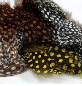 Nature's Spirit Fish Hunter Large Dot Guinea -