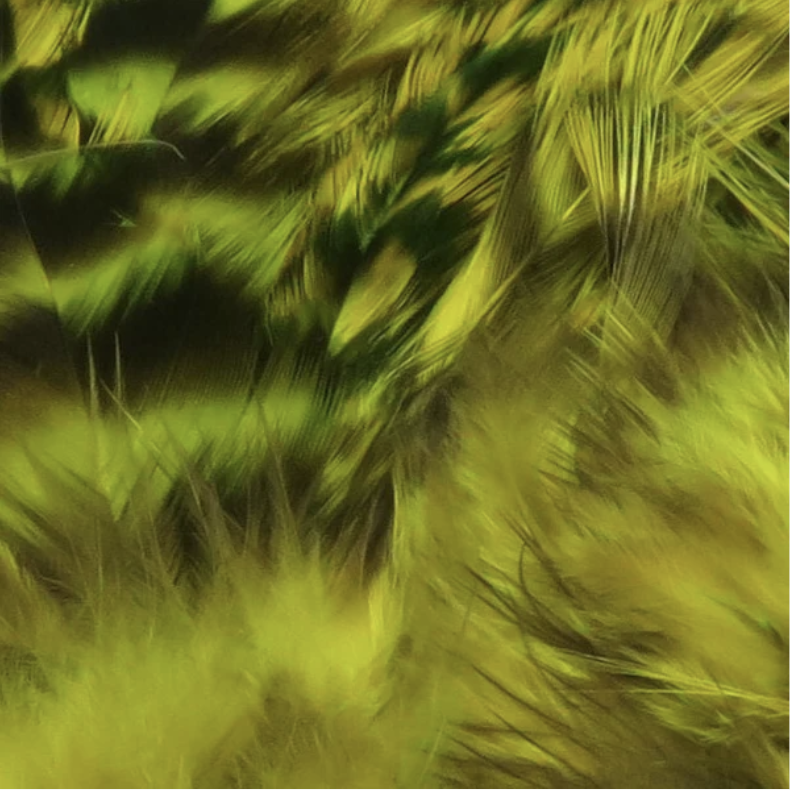 Hareline Dubbin Hareline Strung Grizzly Variant Saddle Hackle