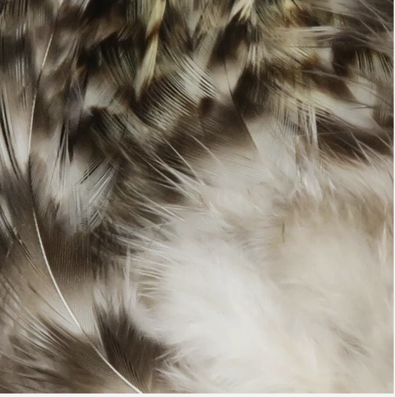 Hareline Dubbin Hareline Strung Grizzly Variant Saddle Hackle