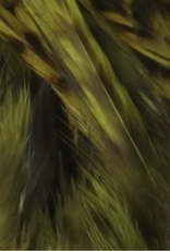 Hareline Dubbin Hareline Strung Grizzly Variant Saddle Hackle