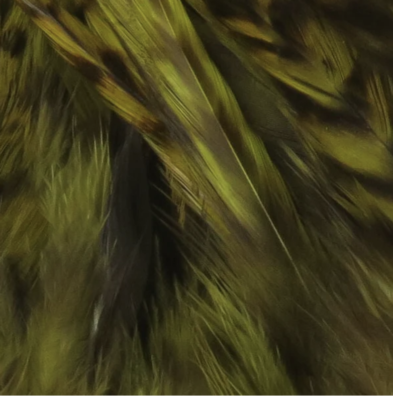 Hareline Dubbin Hareline Strung Grizzly Variant Saddle Hackle