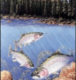 Shook Book Publishing Blue River Fishing Map & Floater's Guide