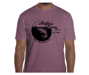 Hanes AC Logo Gildan Softstyle SS Tee