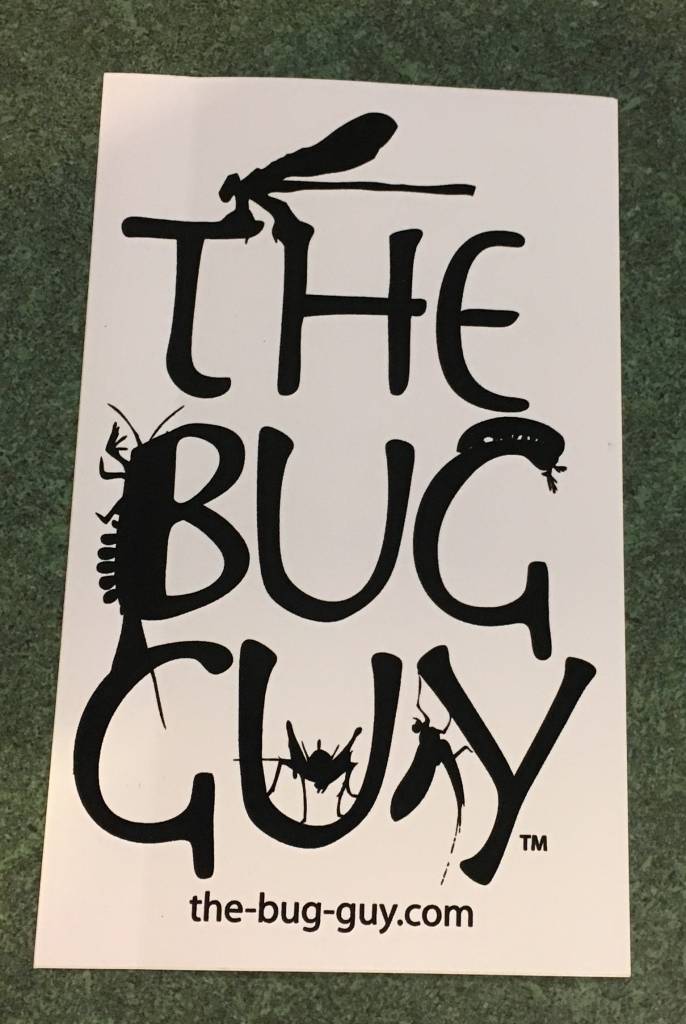 The Bug Guy The Bug Guy Decal