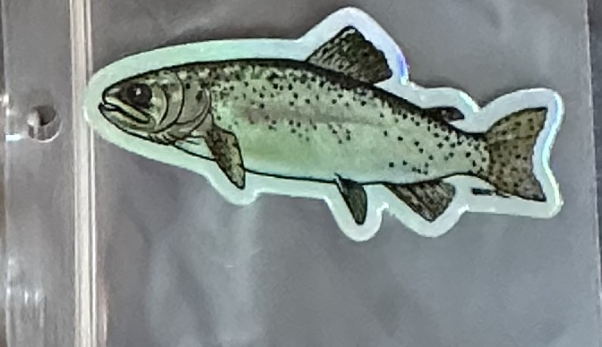 Fishticated Flies Fishticated Fly Decal