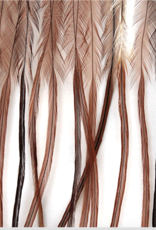 Montana Fly Co MFC Whiting 100 Pack