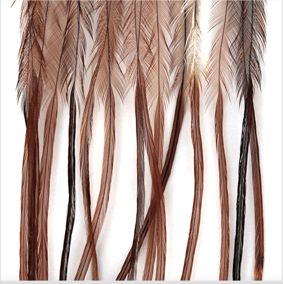 Montana Fly Co MFC Whiting 100 Pack