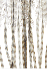 Montana Fly Co MFC Whiting 100 Pack