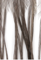 Montana Fly Co MFC Whiting 100 Pack