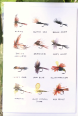 Anglers Covey Greeting Card Flies Assortment