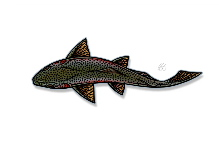 Casey Underwood Art Casey Underwood Special Edition Decal -