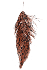 Montana Fly Co MFC Mottled Schlappen