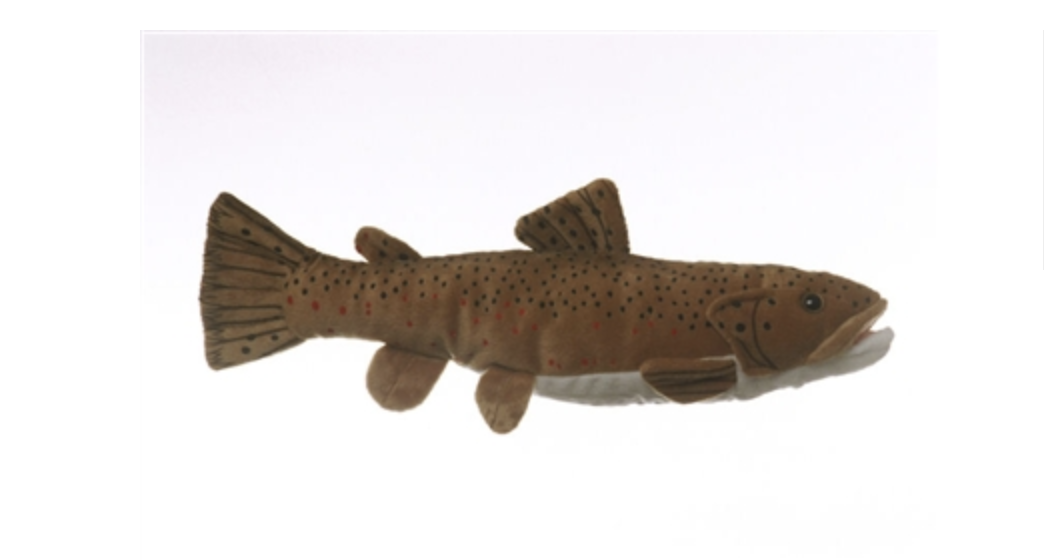 Anglers Book Supply Cabin Critters