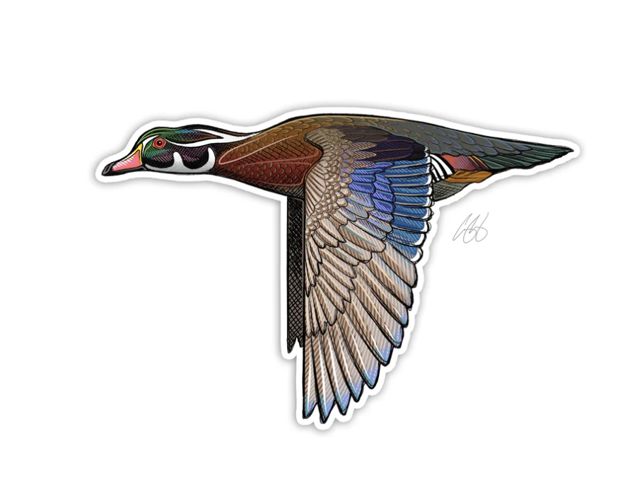 Casey Underwood Art Casey Underwood Bird Decal -