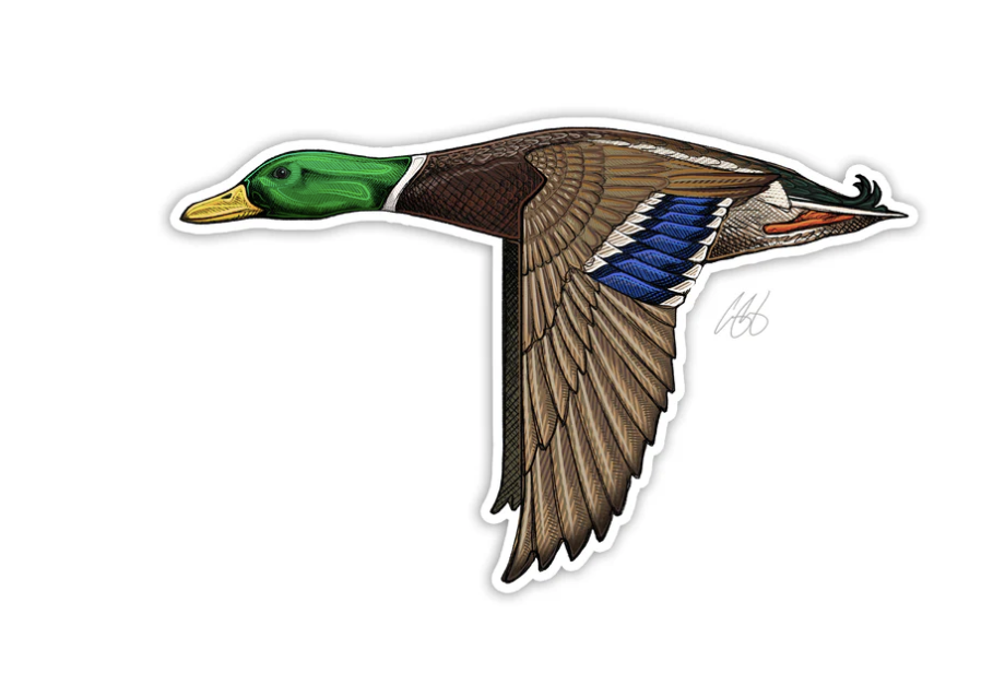 Casey Underwood Art Casey Underwood Bird Decal -
