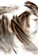 Hareline Dubbin Hareline Hen Mallard Feathers