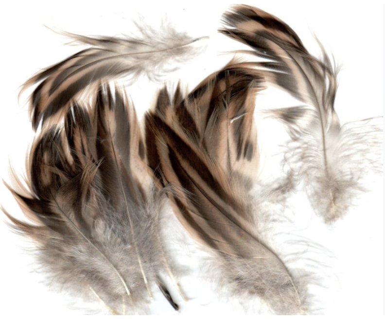 Hareline Dubbin Hareline Hen Mallard Feathers