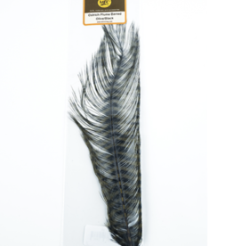 Montana Fly Co MFC Barred Ostrich Plume