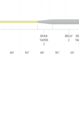 Scientific Anglers Scientific Anglers Sonar Titan Sink Tip Mini Fly Line -