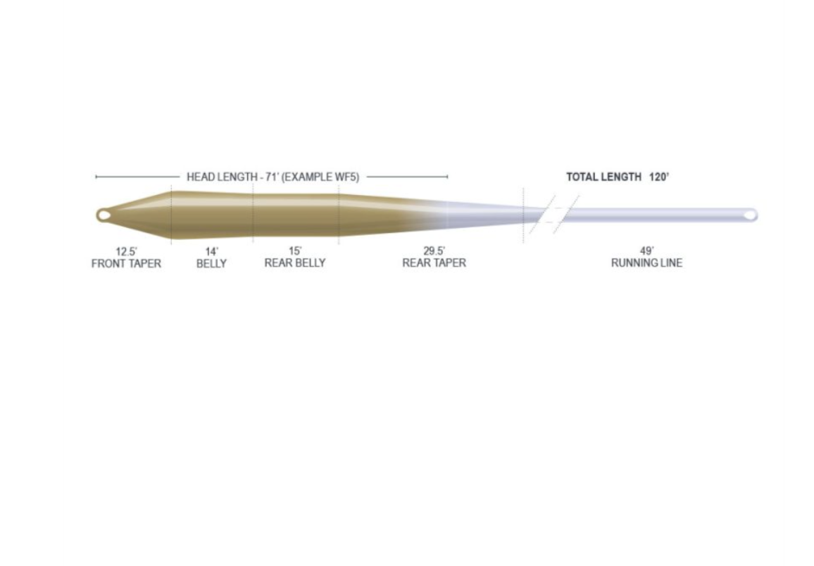 Airflo Airflo Ridge 2.0 Superflo Super Trout Fly Line -