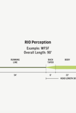 RIO Rio Premier Perception Fly Line -