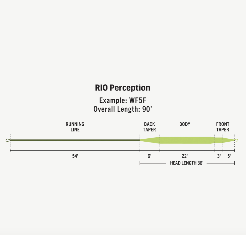 RIO Rio Premier Perception Fly Line -