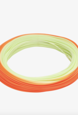 RIO Rio Premier Gold Max Fly Line -