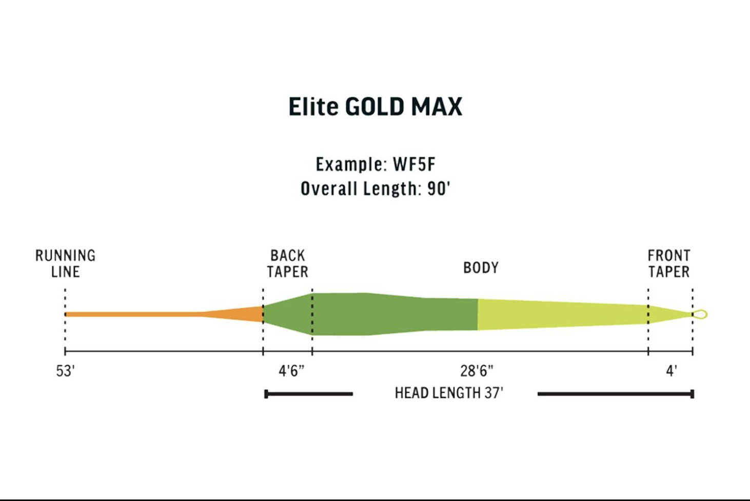 RIO Rio Elite Gold Max Fly Line -