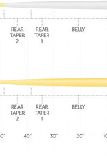 Scientific Anglers Scientific Anglers Magnitude Smooth Infinity 10' Clear Float Tip Fly Line -