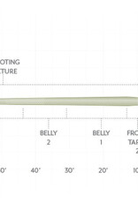 Scientific Anglers Scientific Anglers Magnitude Smooth Trout Expert 10' Clear Float Tip Fly Line -