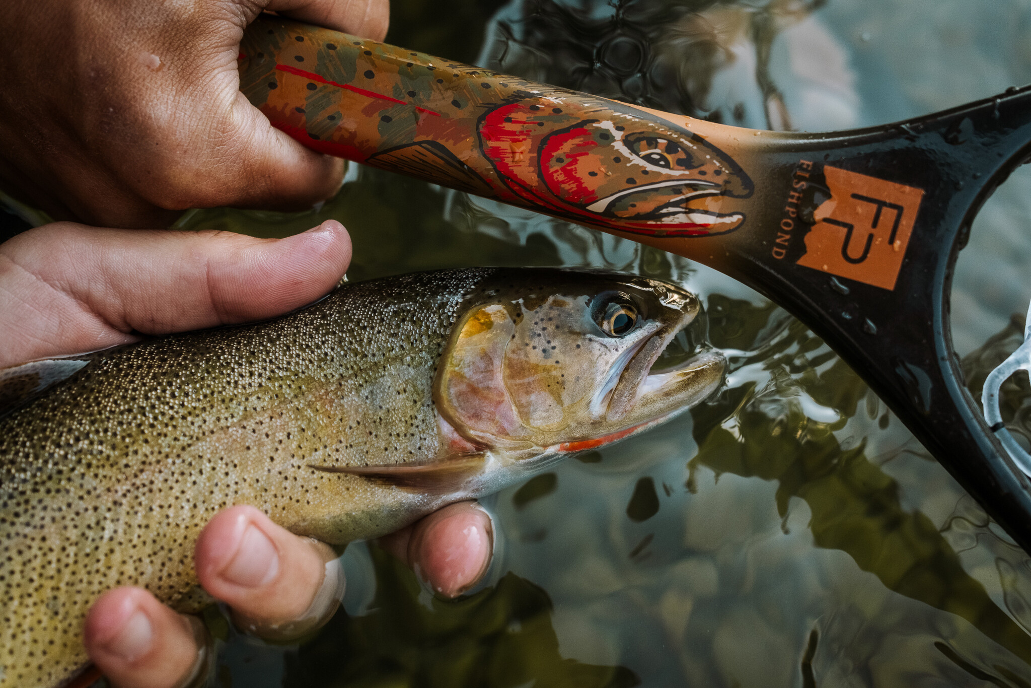 Fishpond Fishpond Nomad Canyon Net -