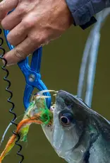 Rising Rising Coil Leash