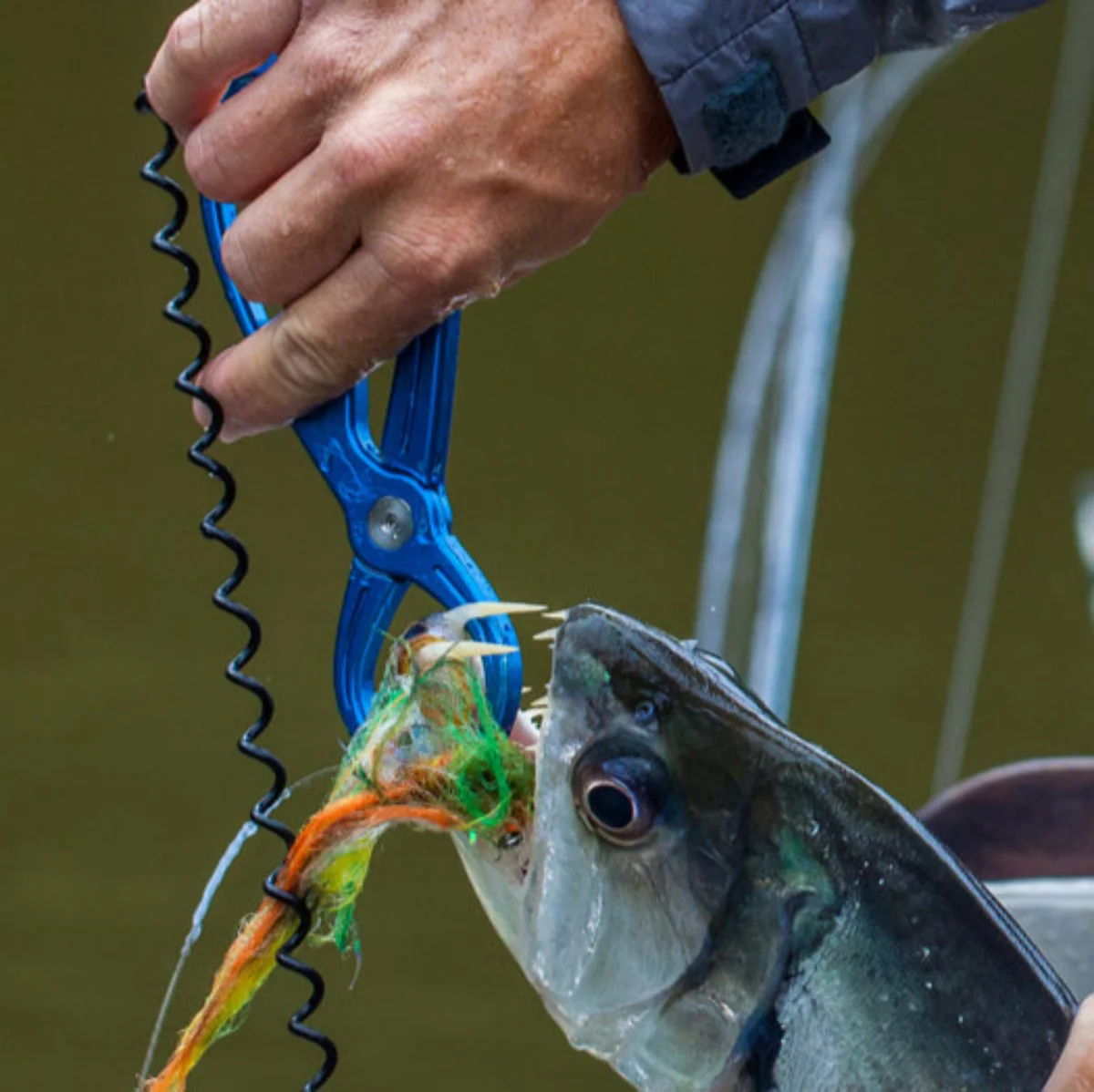 Rising Rising Coil Leash