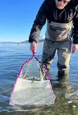 Rising Rising Bug Collection Kit -