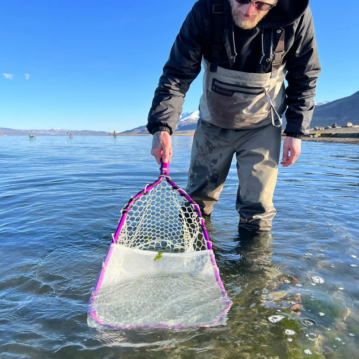 Rising Rising Bug Collection Kit -